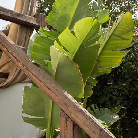 شقة Sibylla Deluxe With Terrace And Hammock *