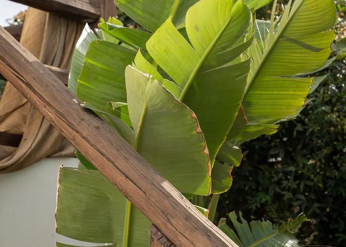 شقة Sibylla Deluxe With Terrace And Hammock *